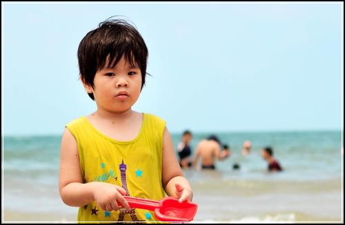보도자료 종신보험 인기일까 