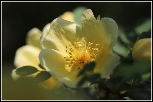 ๋งค๋ฆฌ์ธ ์ํด๋ณดํ ์ค๋นํ ๋ ํ์