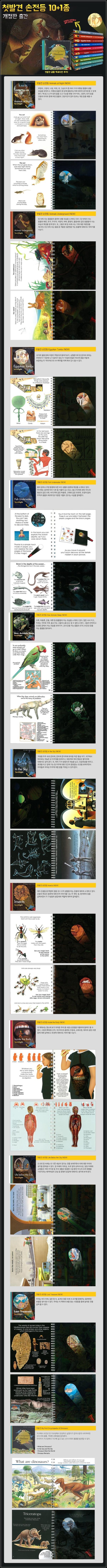 신기한 빛을 따라가는 탐험, 첫발견 토치라이트 세트!_83