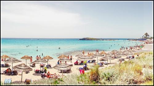 μ κ·μ§ μ보ν νμΈκΌν΄μ μΆμ²