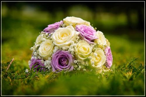 ์ฐจ๋๋ณดํ๋ค์ด๋ ํธ ์ค๊ณ๋ฐ๊ธฐ ์์ ์ค๊ณ