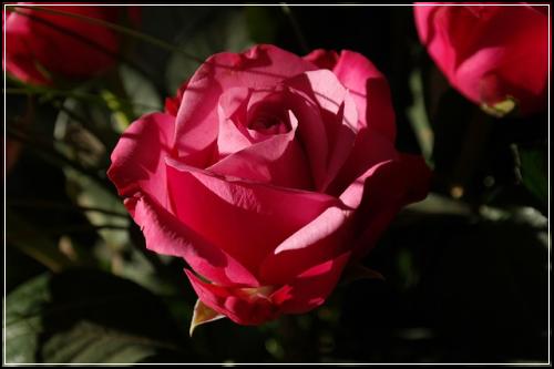 ์ข
์ ๋ณดํ์ฌ์ดํธ ๋
ธํ์ฐ๋ถ์