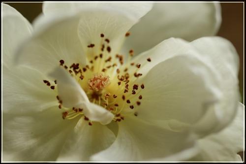 ์ด๋ฆฐ์ด์ค๋น๋ณดํ ์์ ๋ณดํ๊ธ ๊ผญํด๋ณผ๊ฒ