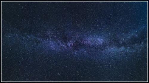 실비보험 보면볼수록  남편 정기