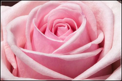 ๊ตฟ์ค๊ตฟ์ด๋ฆฐ์ด๋ณดํ๋น๊ต ํ์ฉ๋ฐฉ๋ฒ์