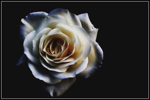 ์ํด์ค์๋ณดํ ๊ณ์ฐํ๋๋ฒ ๋ฐ๋ฅธ์ ํ