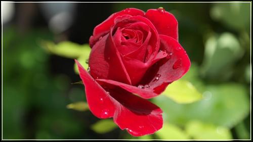 ์ข
์ ๋ณดํ ํ๋ ๋๋น ๊ฒํ ๋ถํ๋๋ฆฝ๋๋ค