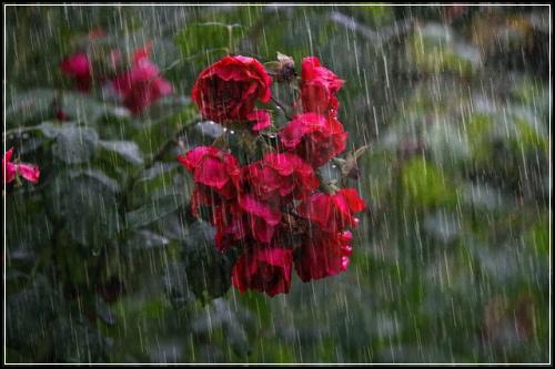 ์์ด๋ค ์ค๋น๋ณดํ์ถ์ฒ์ข ๋น์ฅ์ฒดํฌ
