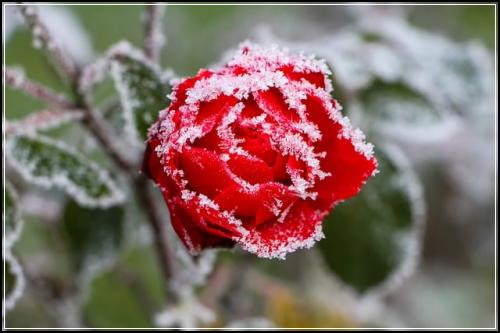 ์ ๋ ดํ์ด๋ฆฐ์ด๋ณดํ ์จ๋ผ์ธ๊ตฟ ์ ๋๋ก ์๊ธฐ