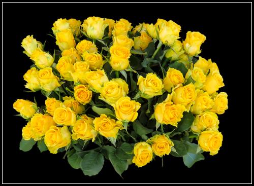 ์ธํฐ๋ท์ฐจ๋ณดํ ๋๋นํ์ ํ์คํcheck