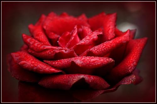ํ์ ์ ์ฒญ์ ์๋์ฐจ๋ณดํ ์ด๋ฆฌ์ค์ธ์