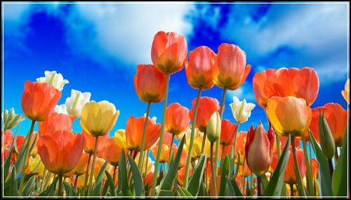 ์ค๋น์ข
์ or์ ๊ธฐ๋ณดํ ๊ผญ์ฑ๊ธธ๊ฒ ๋ถํ์ด