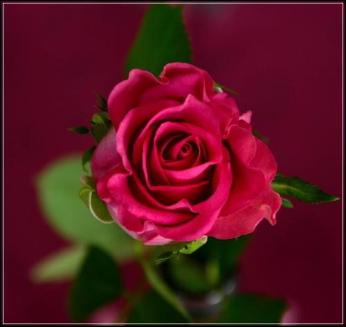 ์ค๋น๋ณดํ์์ฌ๋งํน์ฝ ์กฐ๊ฑด์ข์๊ณณ