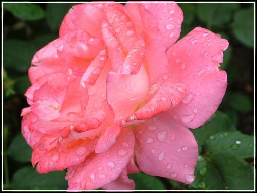ํ๋์๋ช
์ ๊ธฐ๋ณดํ์ผ๋ก ๋ฉ๋ฆฌ์ธ ๊ฐ์กฑ์์ํด