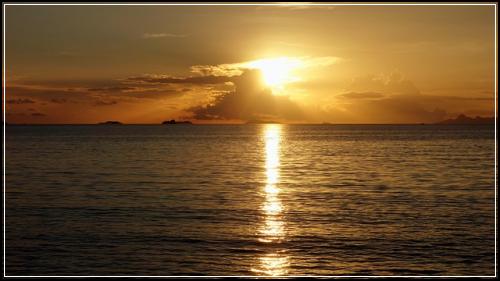 어린이보험특약 for love 비교노하우