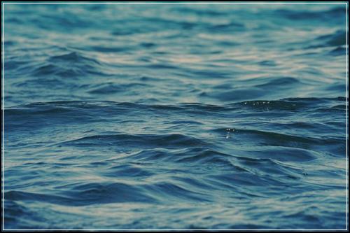 토익 기업 지원 기준 토익 등급 기준 : 토익 문제 #80