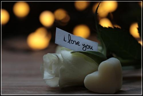 ์๋์ฐจ ์๋์ฐจ ๋ณดํ์ ๋ค๋ ค๊ณ ์์์๊ฒฌ์ 