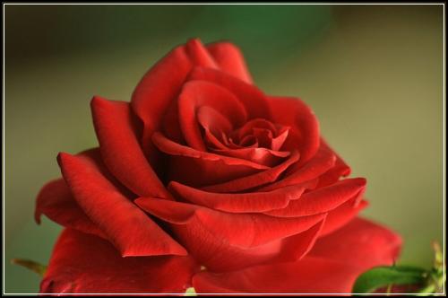 ๋ค์ด๋ํธ์๋์ฐจ๋ณดํ์ผ๋ก ํํํ ๊ณํํด์